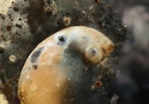 泸沽湖有哪些景点值得去？深度攻略看这里！