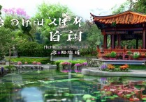 福建漳州景点众多，哪一处是你心中的旅游首选？