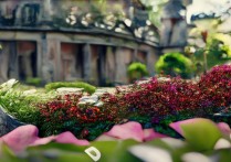 景点语音解说哪里找？免费好用的有哪些？