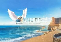 秦皇岛景区究竟藏着哪些不可错过的绝美景点？