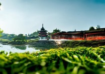 达州附近有哪些景点适合周末亲子游？