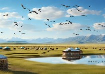 内蒙古旅游景点有哪些？必去景点推荐攻略