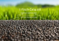 奇亚籽的功效与作用