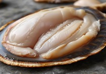 鲍鱼的营养价值及功效