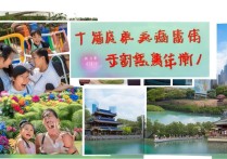 上海亲子游玩景点推荐，周末带娃去哪玩？这些地方超适合！