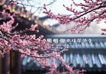 苏州腊梅景点哪里开得最好？赏梅最佳路线推荐