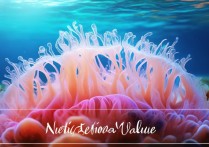 海蛰的营养价值