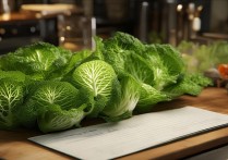 白菜怎么做好吃