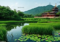 阜宁马家荡景点好玩吗？有哪些必玩项目和特色？