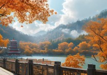 山东秋季旅游去哪儿玩？这些景点最美最值得打卡！