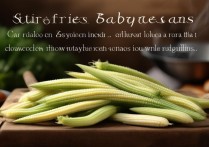 小玉米笋怎么炒好吃