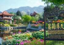 辰山植物园有哪些必去景点？亲子游路线怎么规划？