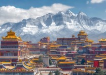 西宁有哪些必游景点？揭秘青海高原的独特风光与历史遗迹？