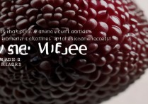 莲雾有什么营养价值