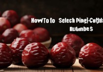 怎么挑选红枣
