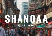 上海网红打卡景点有哪些？最新攻略揭秘，你了解多少？