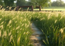 草海有哪些必打卡景点？推荐几个小众又好玩的？