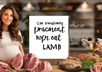 孕妇能不能吃羊肉