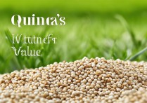 藜麦的营养价值