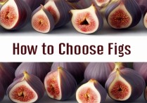 无花果怎么挑选