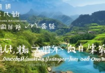 济南南部山区有哪些免费景点？详细攻略揭秘！