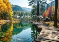 阿尔山森林公园景点有哪些必打卡的小众玩法？