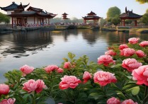 蚌埠周边有哪些小众又好玩的景点？