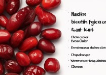 黑枸杞怎么挑选