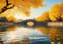 杭州银杏景点哪里人少景美？最佳观赏期是几月？