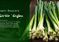 蒜苔的营养价值