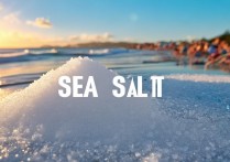 海盐一日游必去景点有哪些？推荐最佳游玩路线攻略。