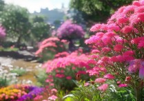 绵阳看花景点推荐，3-5月赏花去哪好？有哪些小众花海值得打卡？