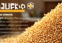 小米的营养价值与功效