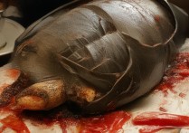 湖州旅游景点介绍