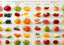 糖尿病人可以吃什么水果