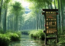 沐川竹海景点好玩吗？有哪些必体验项目？