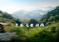 湘西著名景点有哪些？必去攻略和隐藏玩法推荐