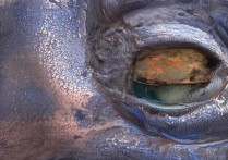 宝鸡旅游景点介绍