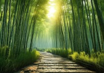 蜀南竹海旅游攻略