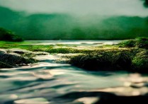 高明景点有哪些必打卡的隐藏玩法和小众秘境？