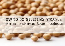 黄豆怎么挑选