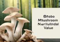 竹荪的营养价值