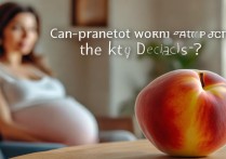 孕妇能不能吃桃子