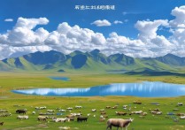 青海风景区旅游景点有哪些必打卡的冷门秘境？