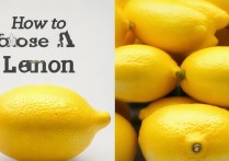柠檬怎么挑选