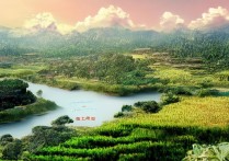 平南景点有何独特之处？探寻广西平南不可错过的旅游奥秘！