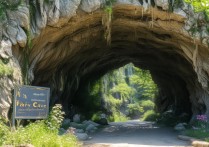 仙人洞景点有什么必玩打卡点和隐藏玩法？