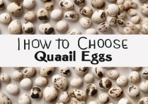 鹌鹑蛋怎么挑选