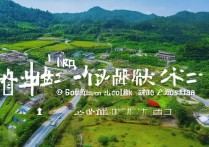 江门自驾游免费景点有哪些？这些免费景点有哪些特色？