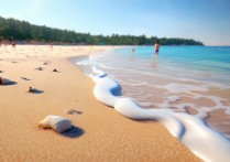 台山沙滩旅游景点有哪些适合亲子游的免费项目？